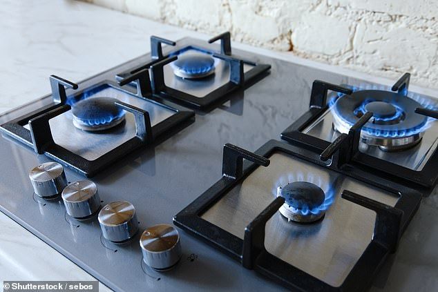 Expert Gas Hob Repair